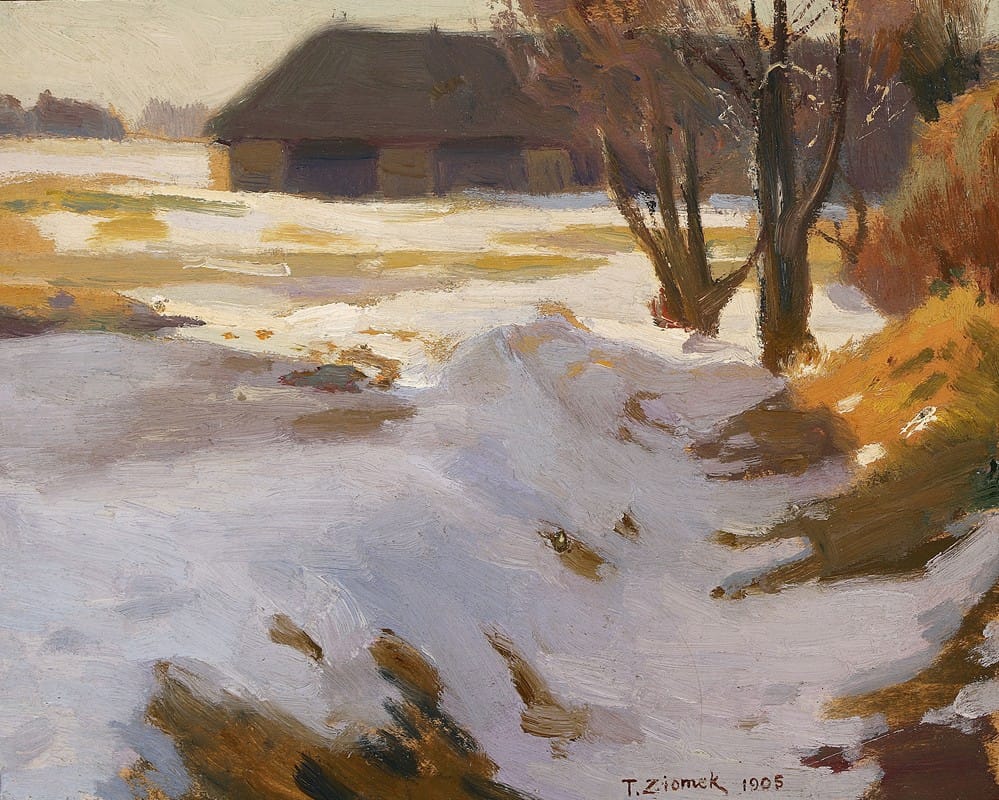 Teodor Ziomek - Winter thaw
