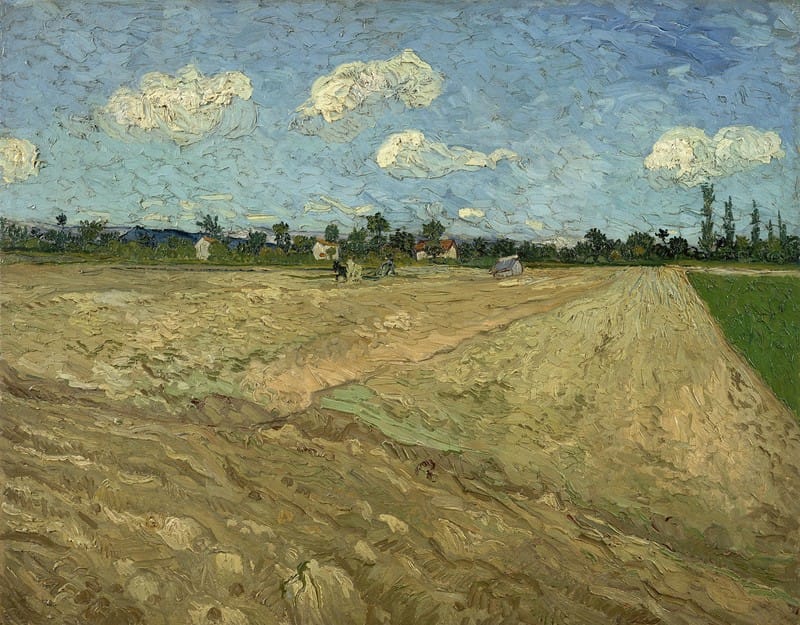 Vincent van Gogh - Ploughed fields (‘The furrows’)