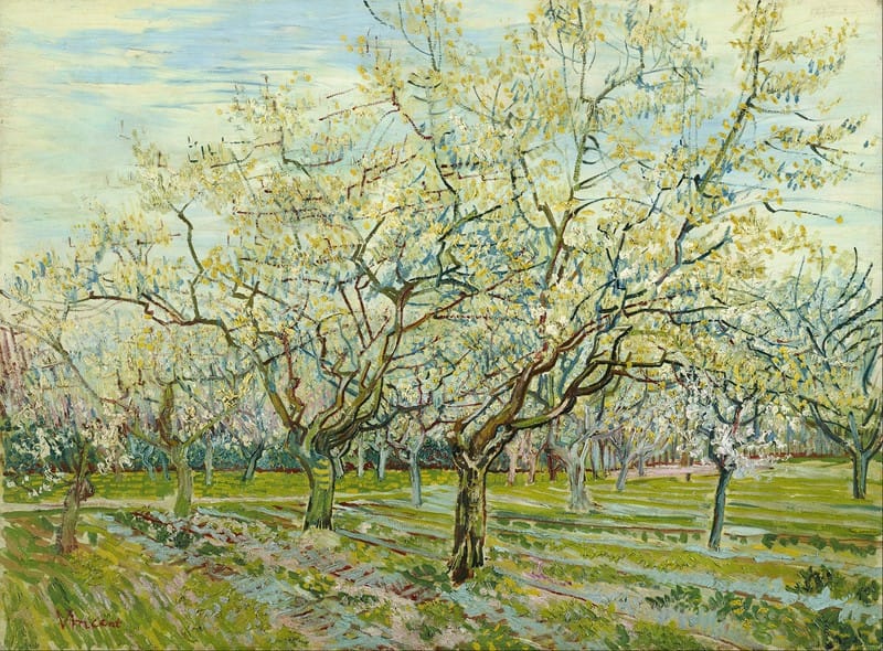 Vincent van Gogh - The white orchard