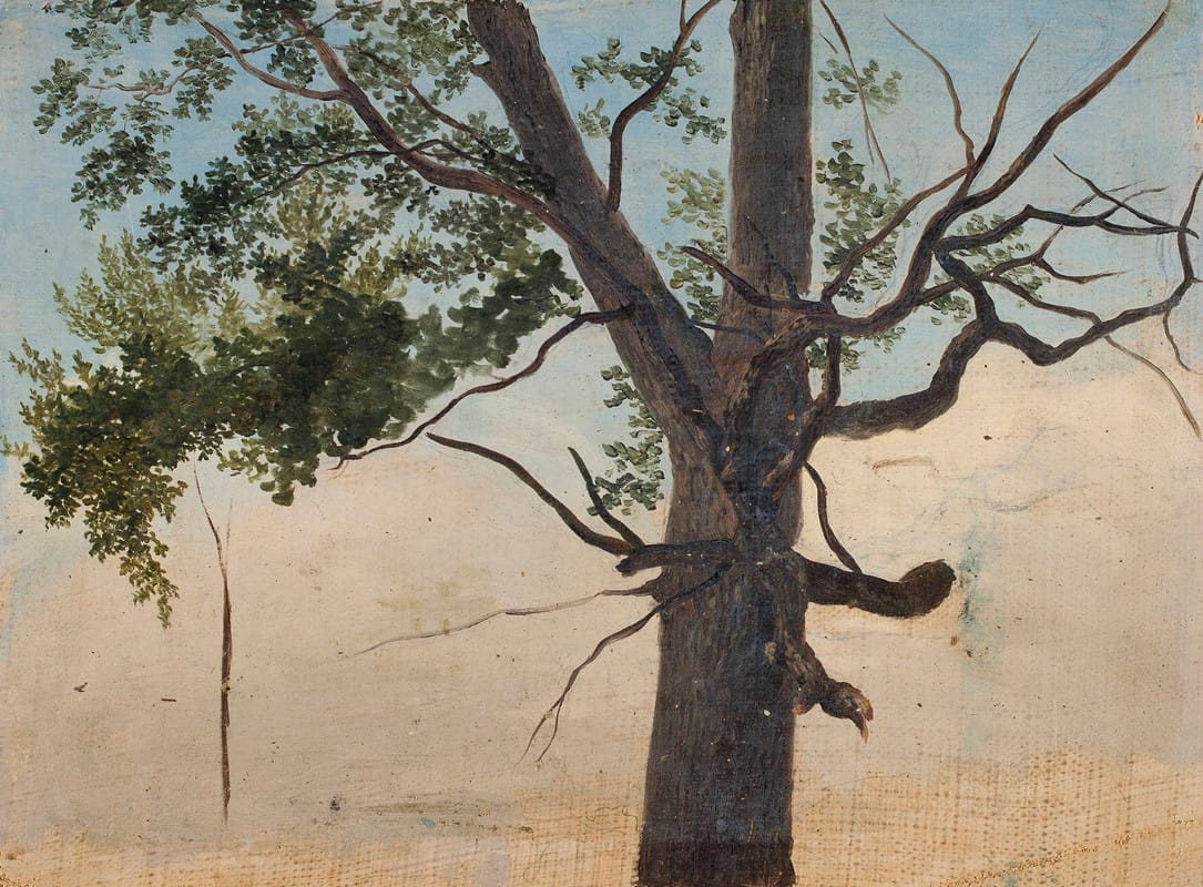 Chrystian Breslauer - Solitary tree