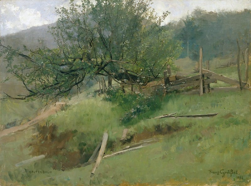 Franz Xaver Gräßel - Meadow Slope (Lautenbach)