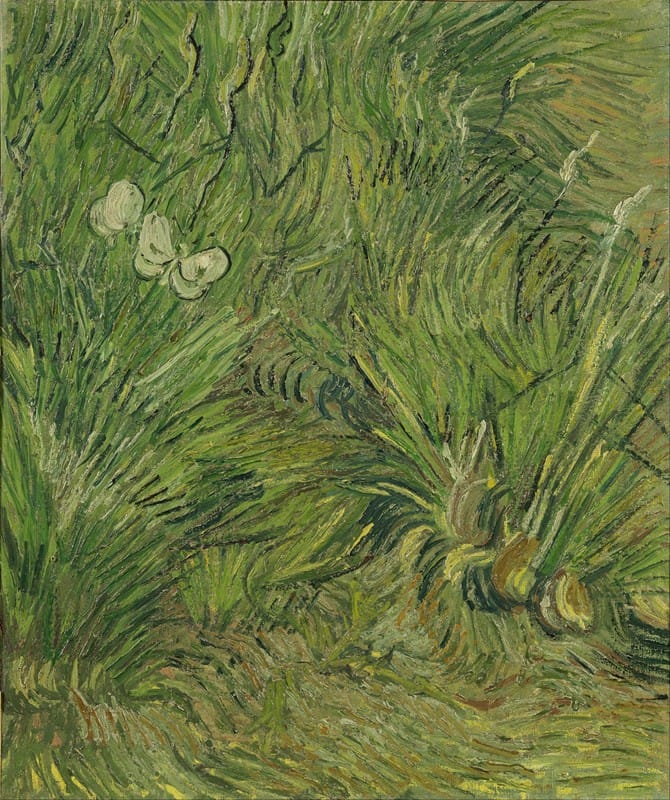 Vincent van Gogh - Garden with butterflies