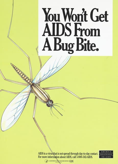 你不会因为虫咬而得艾滋病的