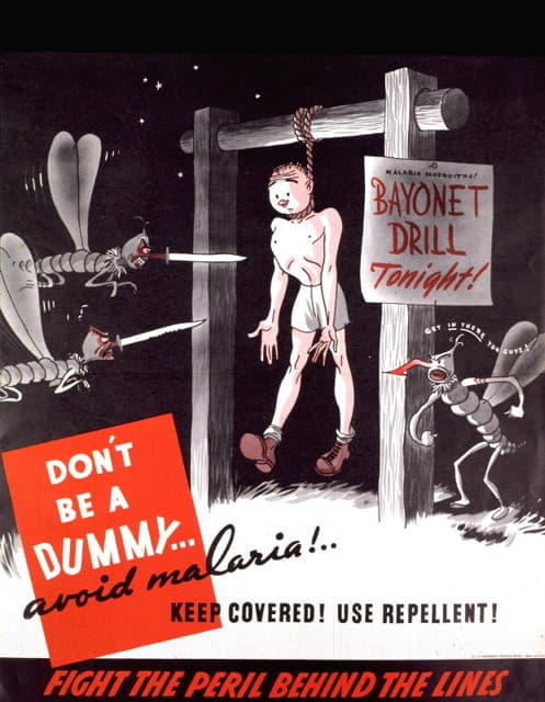 Anonymous - Don’t be a dummy– avoid malaria