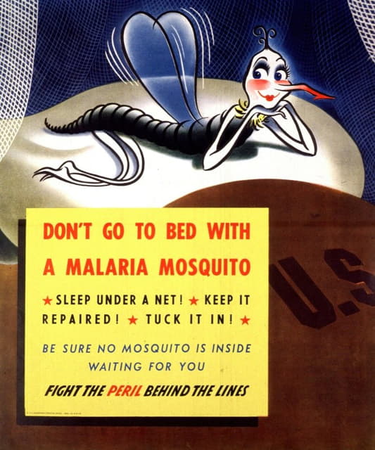 不要和疟蚊上床睡觉