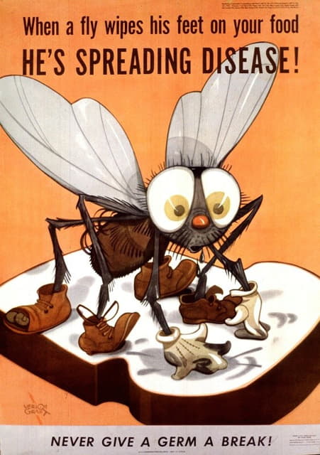 当一只苍蝇在你的食物上擦脚时，它正在传播疾病