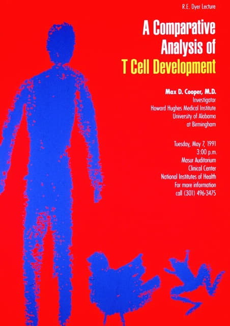 T细胞发育的比较分析