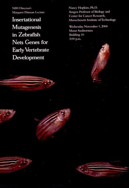National Institutes of Health - Insertational mutagenesis in zebrafish nets genes for early vertebrate development