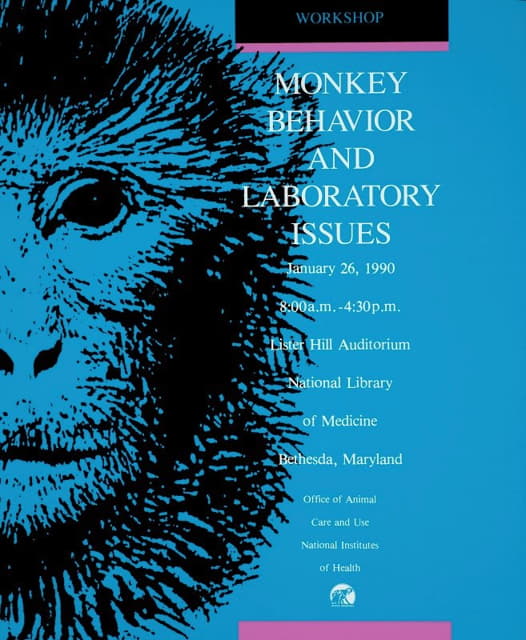 猴子行为与实验室问题