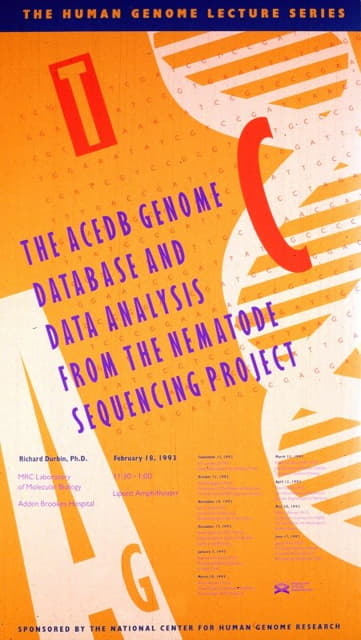 来自线虫测序项目的ACEDB基因组数据库和数据分析