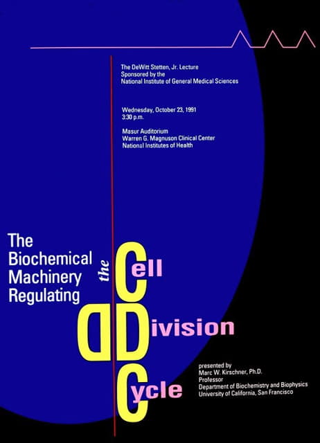 National Institutes of Health - The biochemical machinery regulating the cell division cycle