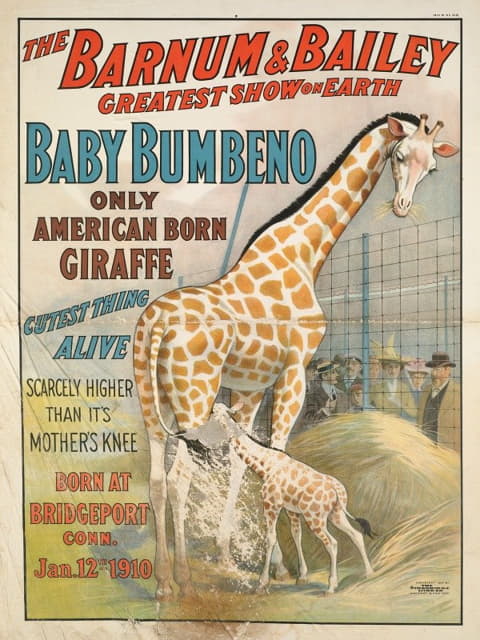 巴纳姆&贝利世界上最伟大的表演：小布姆贝诺，唯一一只美国出生的长颈鹿，是世界上最可爱的动物