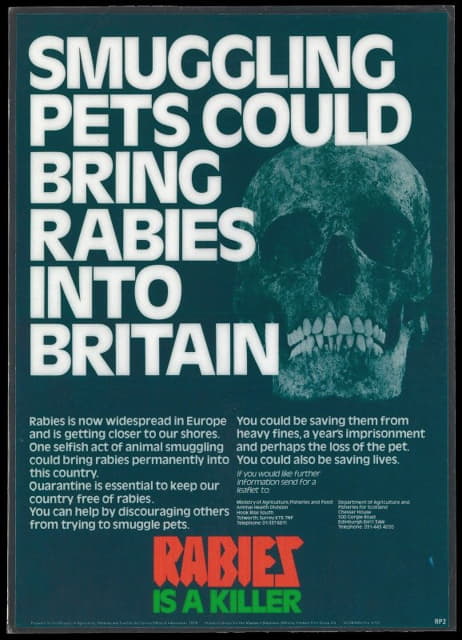 Ministry of Agriculture, Fisheries and Food - Smuggling pets could bring rabies into Britain