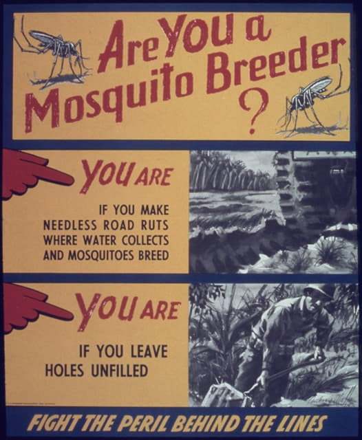 Anonymous - Are you a mosquito breeder