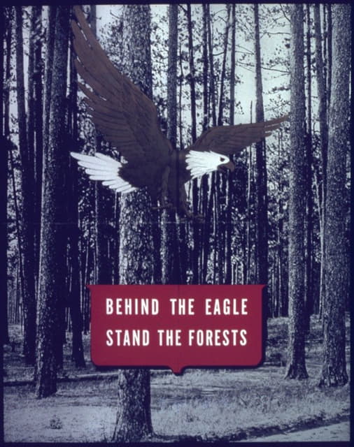 Anonymous - Behind the eagel stand the forests