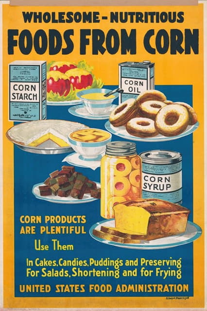 Lloyd Harrison - Wholesome – nutritious foods from corn