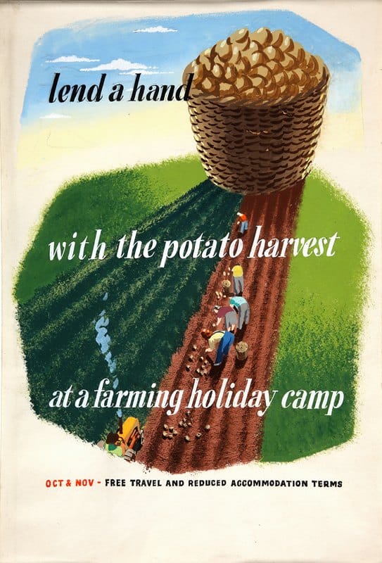 Eileen Evans - Lend a hand with the potato harvest at a farming holiday camp
