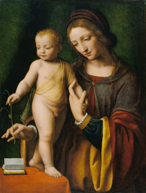 Bernardino Luini - The Virgin and Child with a Columbine