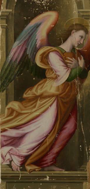 Giovanni Antonio di Francesco Sogliani - Angel in Adoration