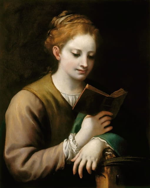 圣凯瑟琳阅读