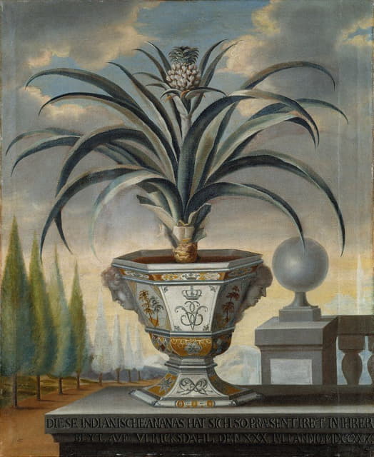 David von Cöln - Ananasväxt