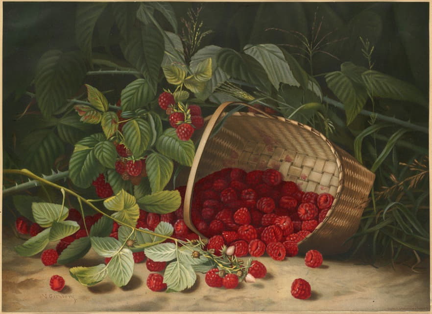 Virginia Granberry - Raspberries