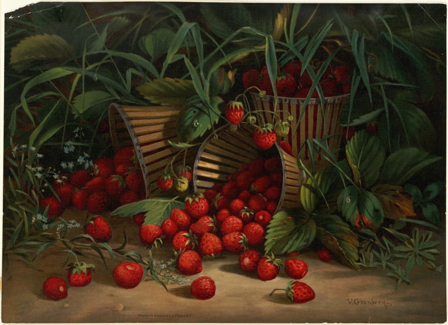 Virginia Granberry - Strawberries
