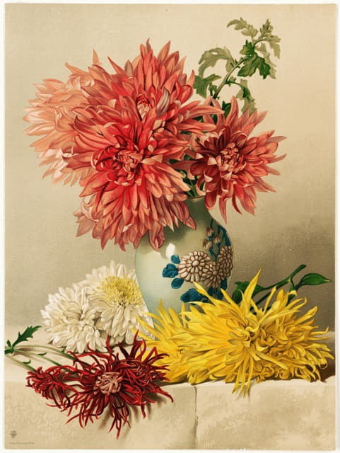 William Duffield - Chrysanthemums