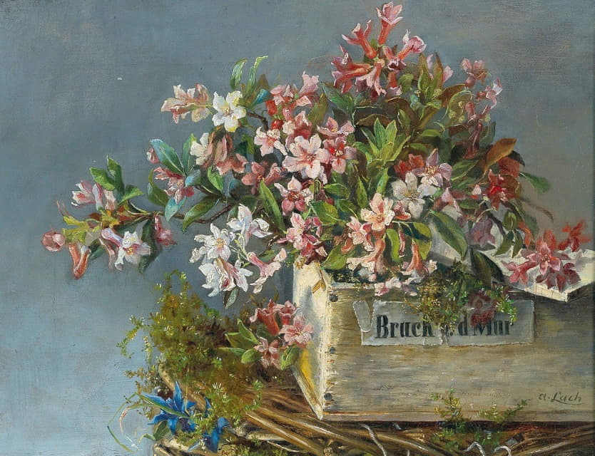 Andreas Lach - Alpine Roses In A Window Box