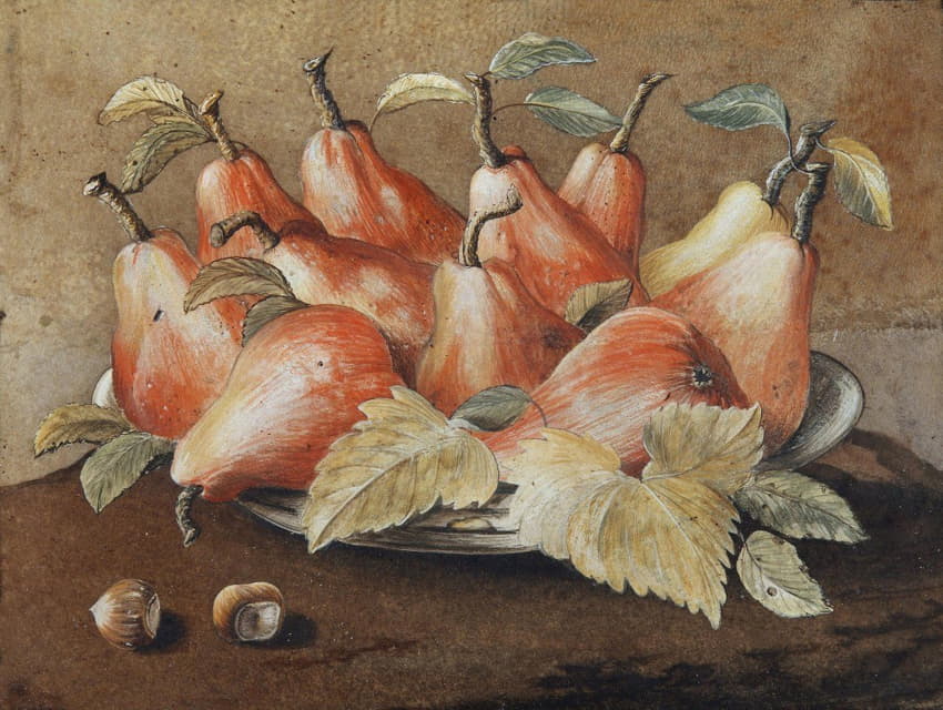 梨子和榛子的静物画