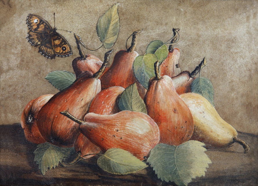 梨子和蝴蝶的静物画