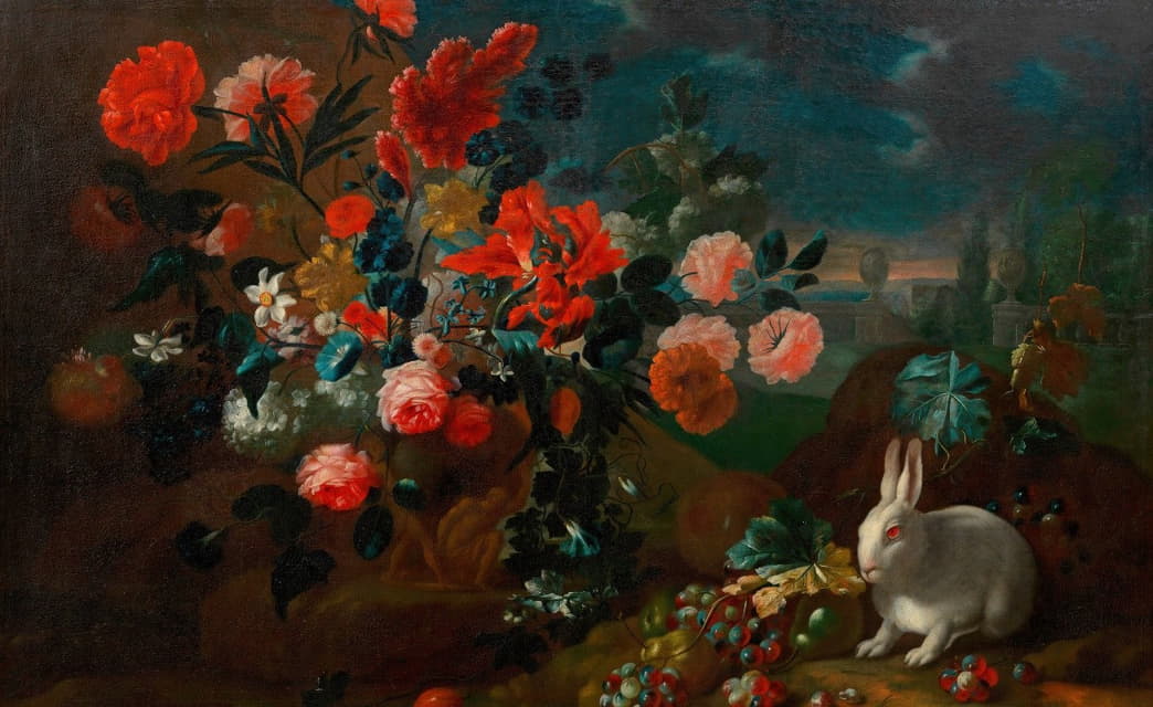 兔子的花式生活