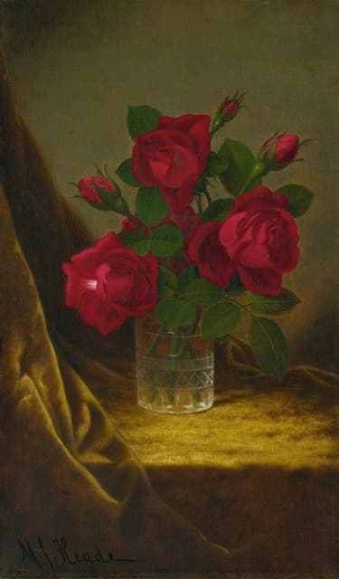 杰奎米诺玫瑰