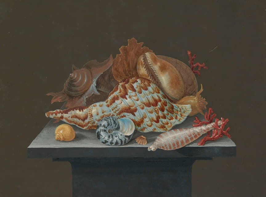 Anonymous - Still life with shells