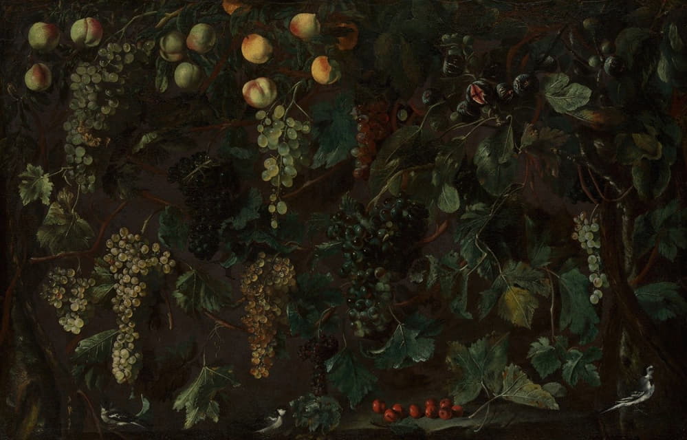 Bartolomeo Cavarozzi - Grape Vines and Fruit, with Three Wagtails