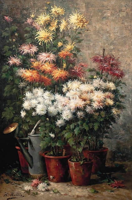 Hubert Bellis - Chrysanthemums