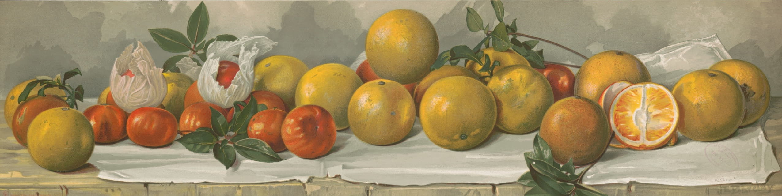 J. E. Barclay - Study of oranges