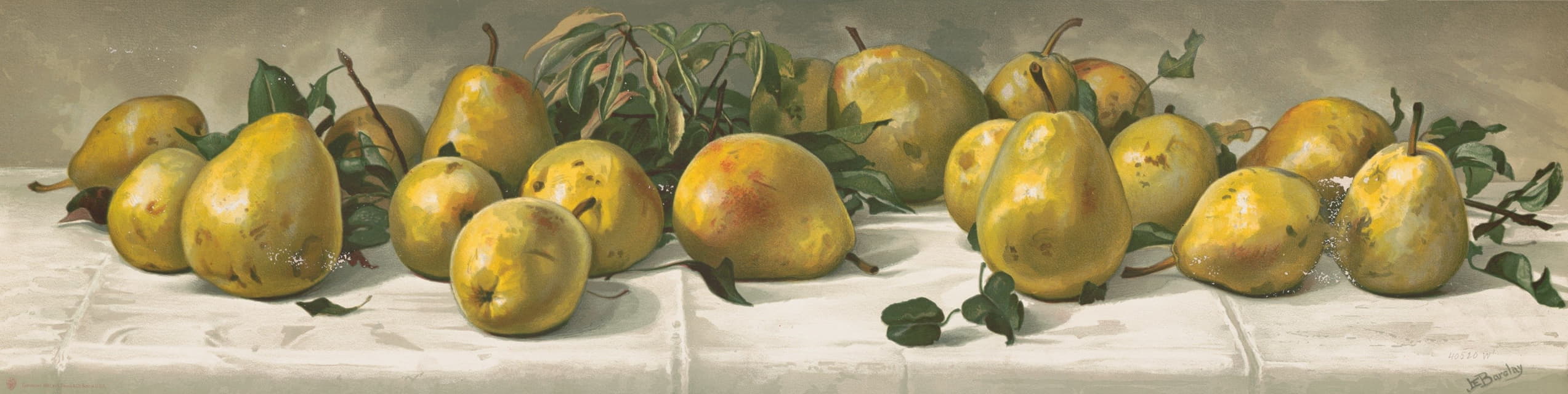 J. E. Barclay - Study of pears
