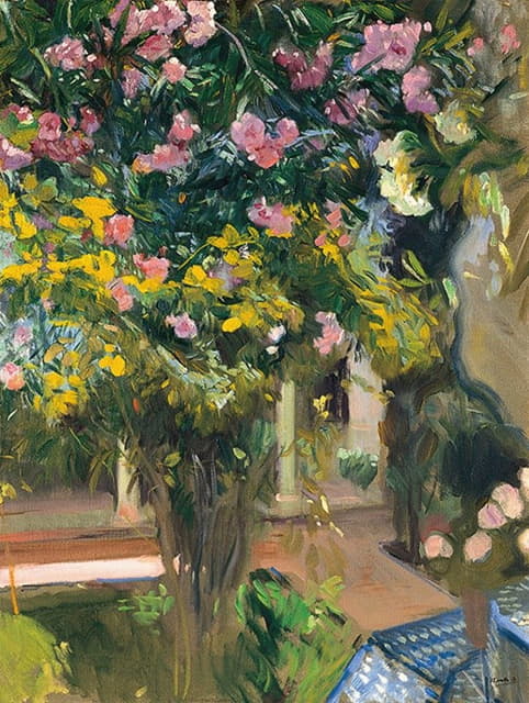 夹竹桃，艺术家家的庭院