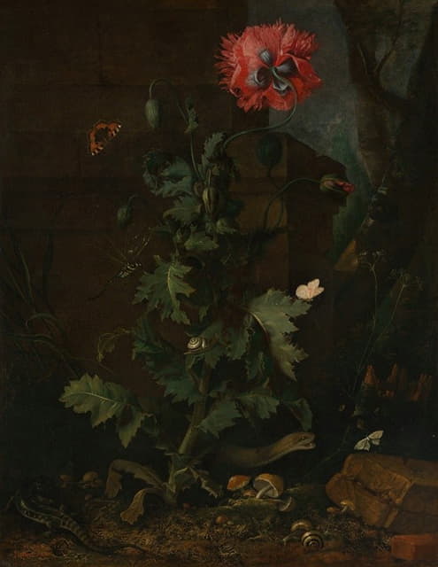 Otto Marseus van Schrieck - Still Life with Poppy, Insects, and Reptiles