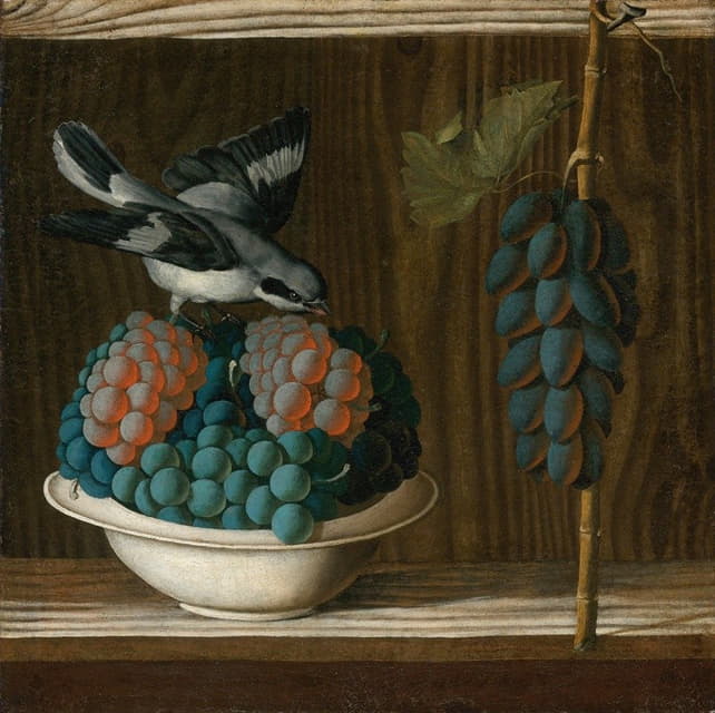 葡萄和灰伯劳鸟的静物画