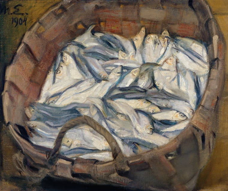 波罗的海鲱鱼