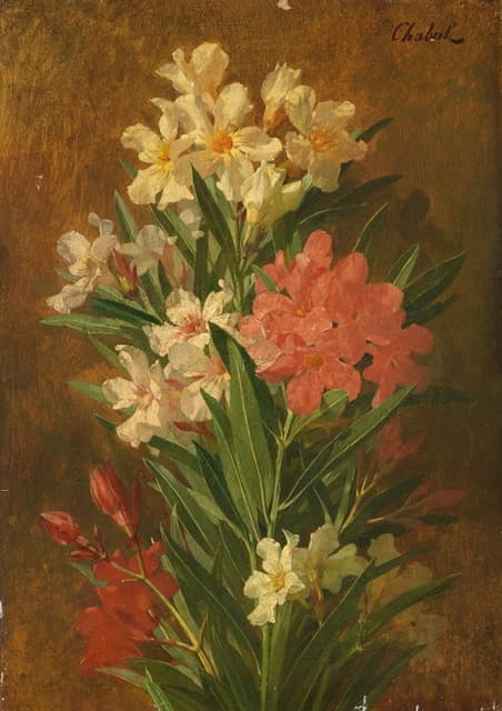 Pierre Adrien Chabal-Dussurgey - Red and white flowering oleander