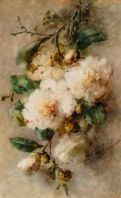 Margaretha Vogel Roosenboom - A spray of camellias hanging from a nail