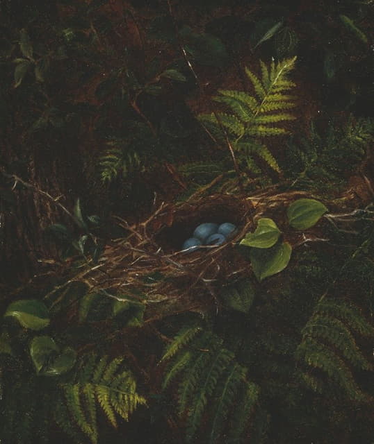 Fidelia Bridges - Bird’s Nest and Ferns