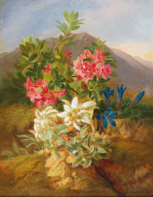 Josef Schuster - Alpine Flowers
