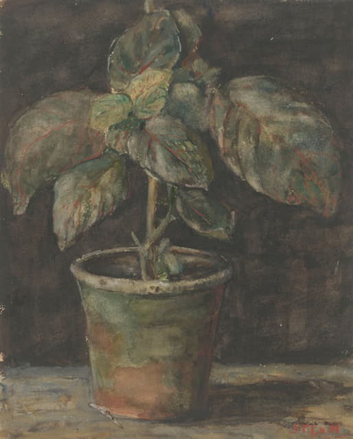 Sientje Mesdag Van Houten - Een potplant