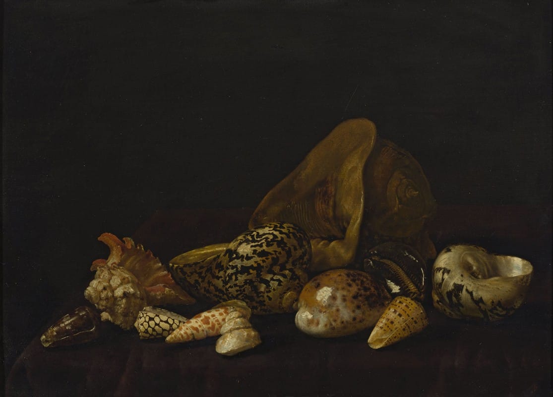 Abraham Van Calraet - Seashells in a purple tapestry