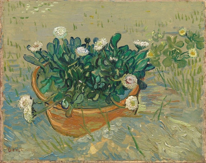 Vincent van Gogh - Daisies, Arles