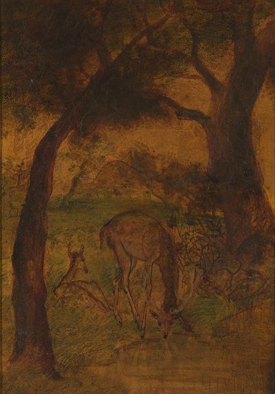 A Stag Drinking